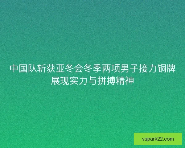 中国队斩获亚冬会冬季两项男子接力铜牌展现实力与拼搏精神